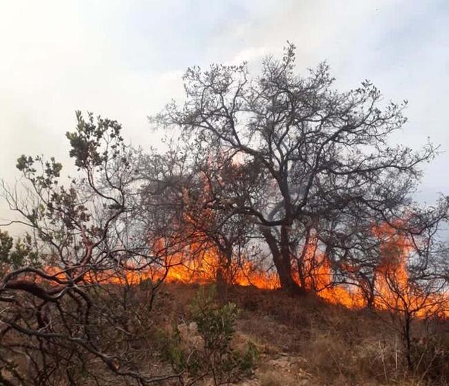 Fuego consume más de 400 hectáreas en zona serrana