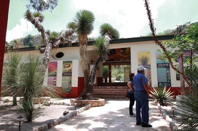 Preservan cactáceas en Cadereyta   