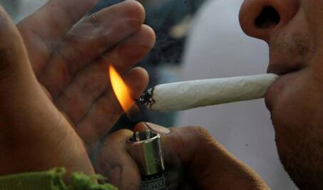 Incrementa consumo de Cannabis en Querétaro