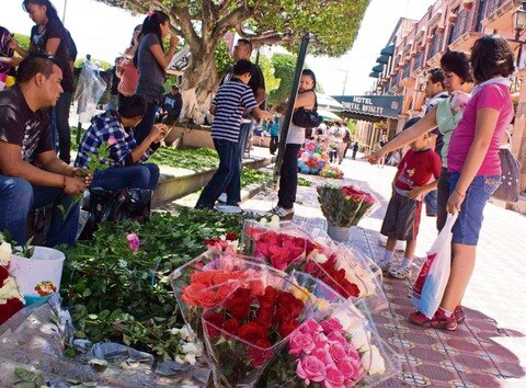 Disminuirá el turismo en SJR por tren rápido