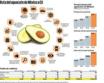 Aguacate conquista a EU pese a TLCAN