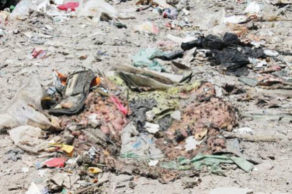 Arrojan al campo desechos de animales en SJR