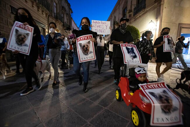 Indignación por muerte de Athos y Tango llega a las calles