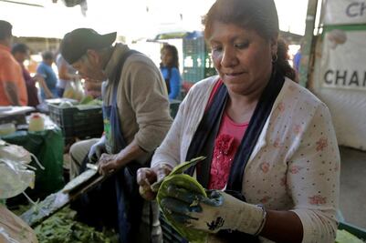 La venta de nopal le ha permitido salir adelante