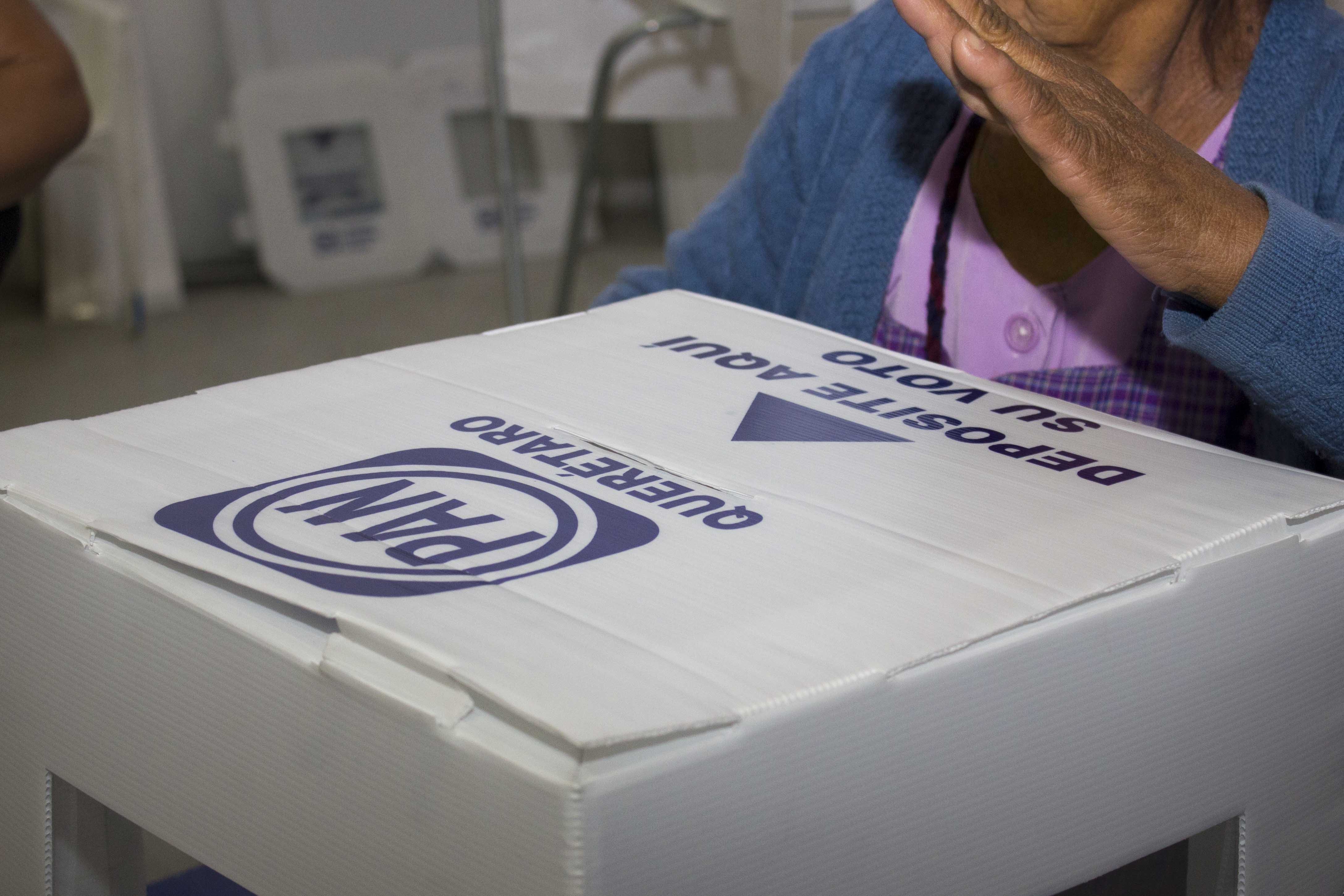 Alista PAN candidaturas en SJR