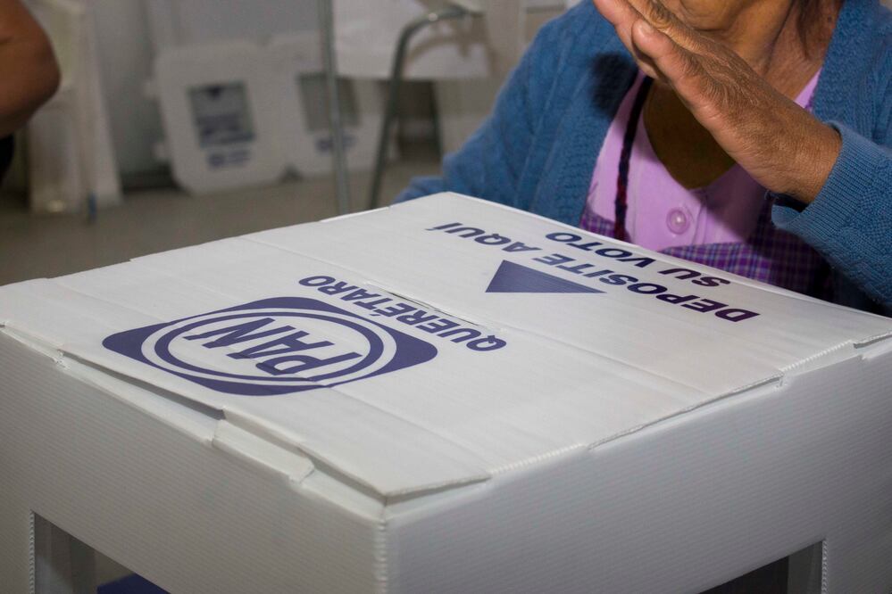 Alista PAN candidaturas en SJR