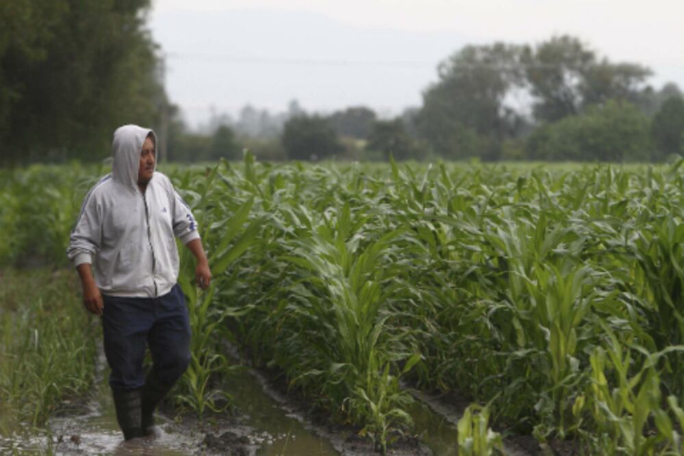 Contingencia ‘pega’ a 40 productores, alertan  