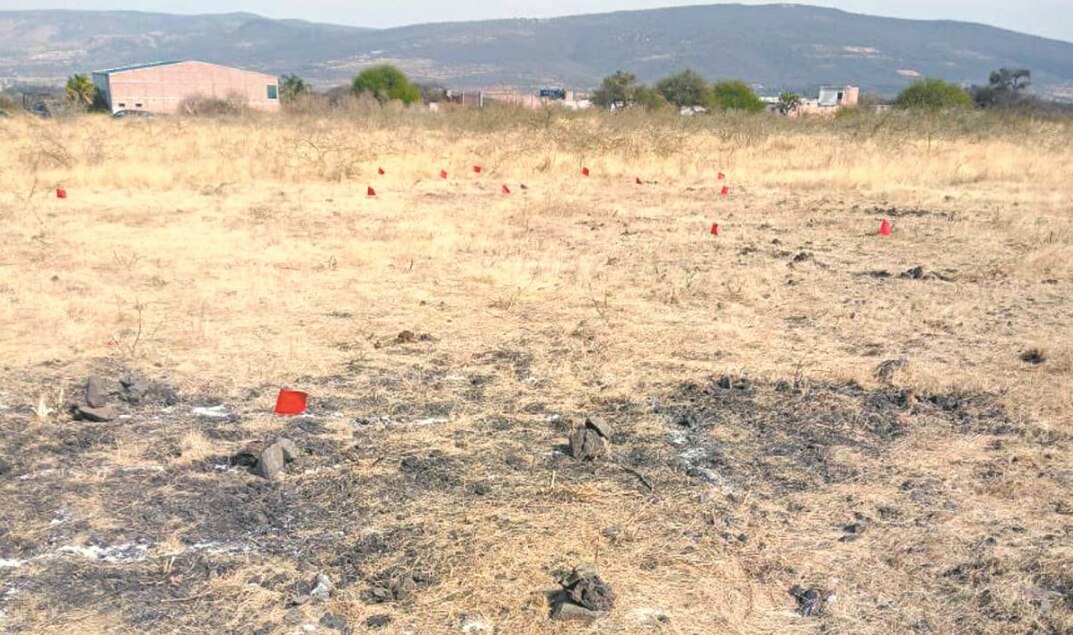 Foto: Cortesía. Colectivo hasta encontrarte