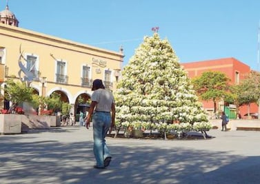 Deben personas deprimidas acercarse a la Iglesia