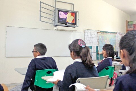 Alertan por brote de piojos en la entidad