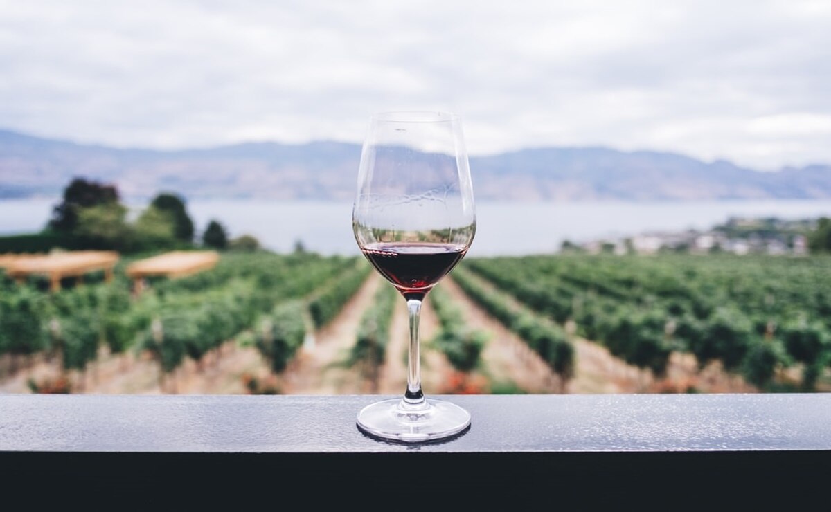 Ruta del vino. Tres viñedos en Querétaro que tienes que conocer