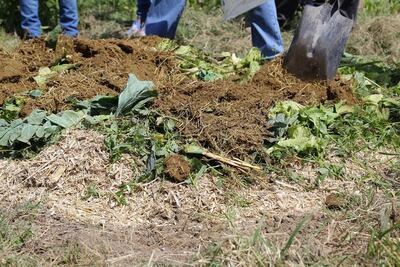 Destinan 4 mdp para centro generador de composta 