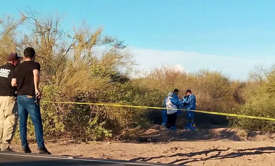 Las 3 niñas asesinadas en Sonora presentaban signos de violencia (06/07/2025). Foto: Buscadoras Por La Paz Sonora