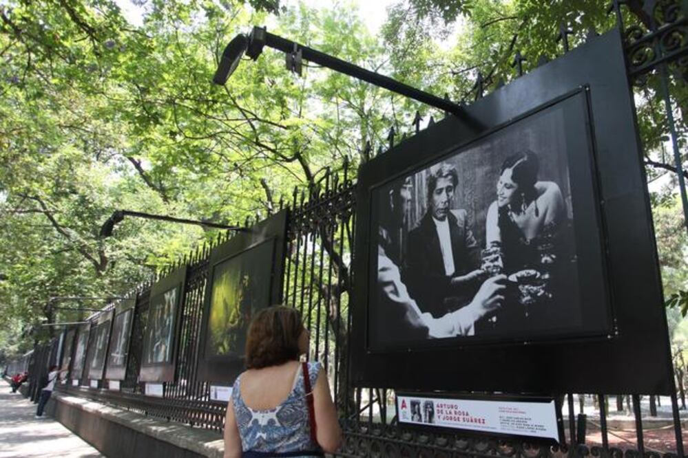 Es la tercera exposición que realiza AMACC en esta galería abierta (EFE)