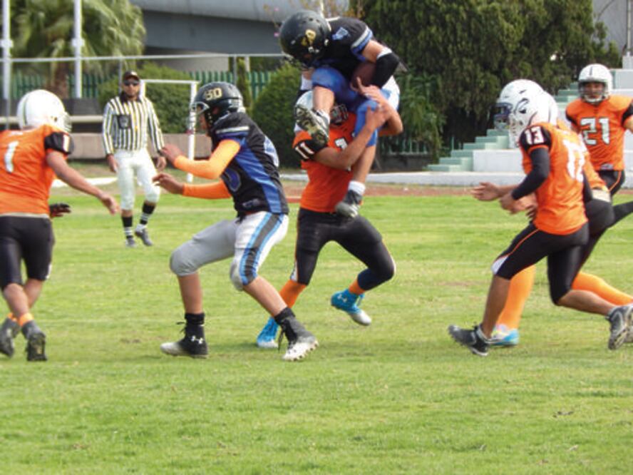 Zorros dominan la OQROFA