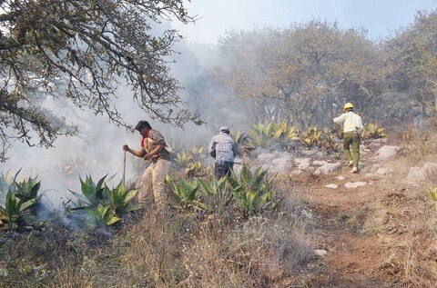 Concluye capacitación en incendios forestales