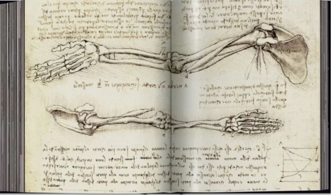 La obra total de Da Vinci como nunca antes se había visto en un libro