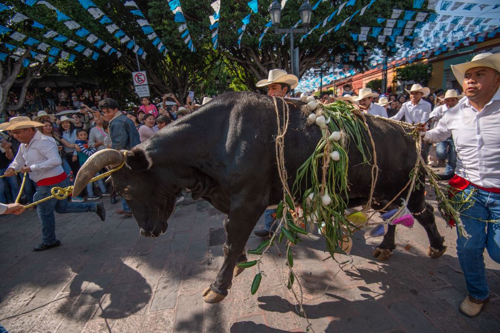 Foto. Fernando Camacho