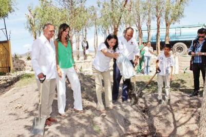 Tres millones para reforestar