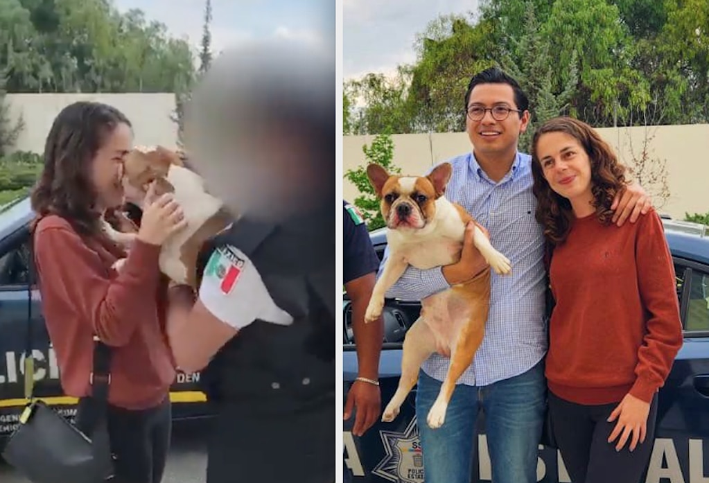 Frank regresó a casa; lo robaron en la autopista México-Querétaro