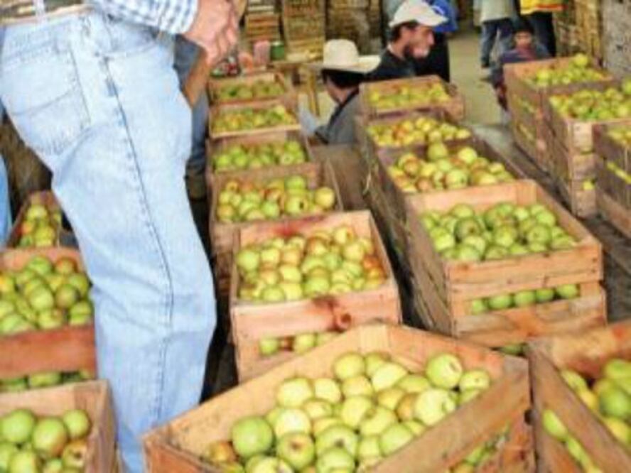 Comercializarán derivados de la manzana