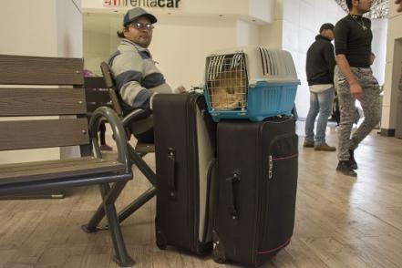 #Especial Mascotas, compañeras de viaje