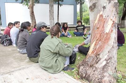 20 mil jóvenes desempleados en SJR