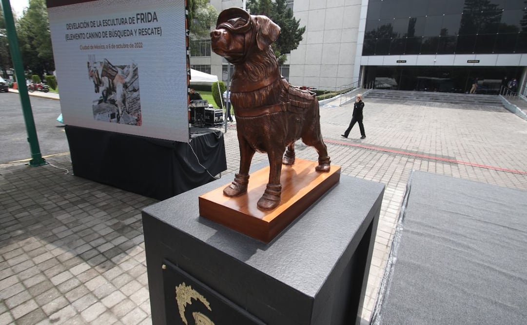 "Gracias Frida": develan escultura de perrita rescatista de la Secretaría de Marina