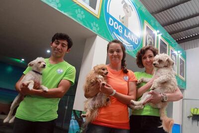 Amor perruno. Apapachan al amigo fiel