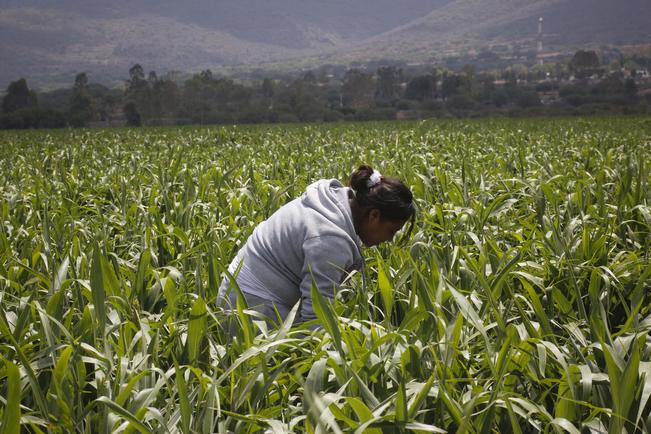 Piden frenar violencia patrimonial contra mujeres
