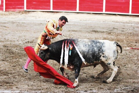 Triunfa ‘El Cejas’ en San Juan del Río