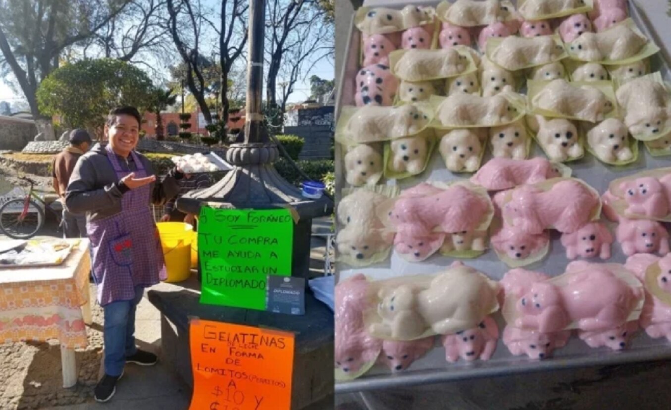 Joven se hace viral por vender gelatinas para financiar sus estudios