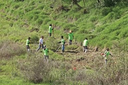 Municipio de Querétaro invita a participar en jornadas de reforestación durante octubre
