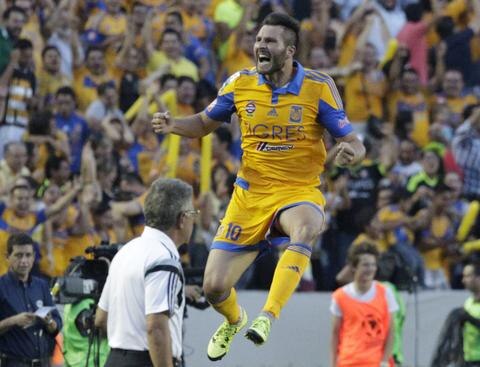 Tigres está en la final libertadora