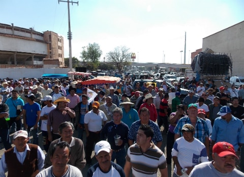 Regresan integrantes de UCD a lugares de origen