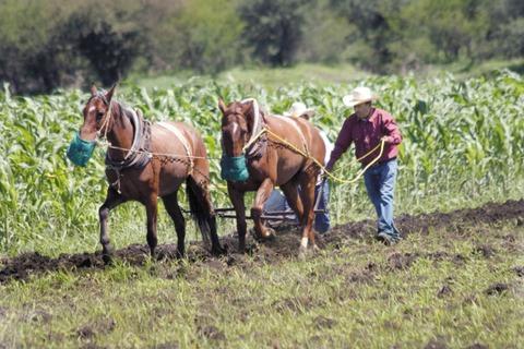 Piden vigilar entrega de apoyos al campo