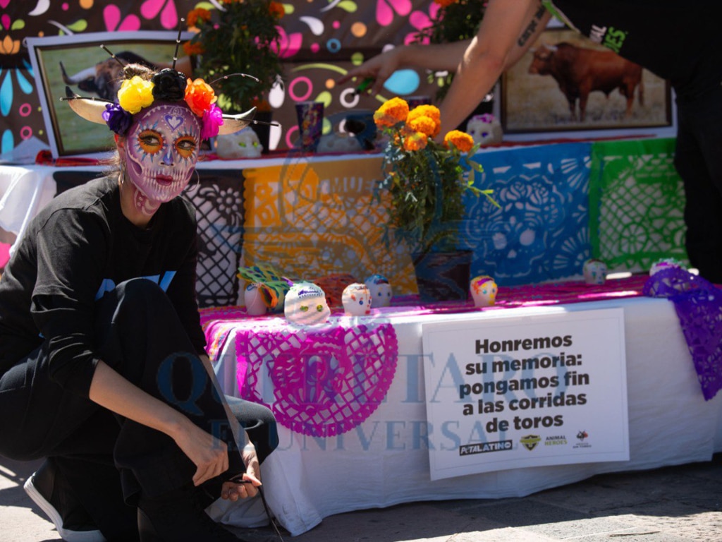 FOTO. FERNANDO CAMACHO