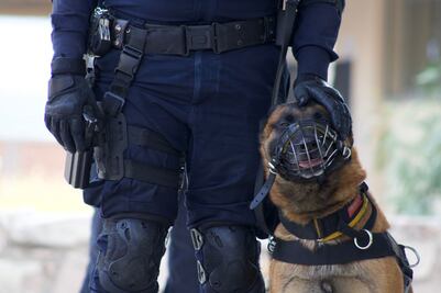 Se jubilan 5 lomitos de la policía municipal de Querétaro