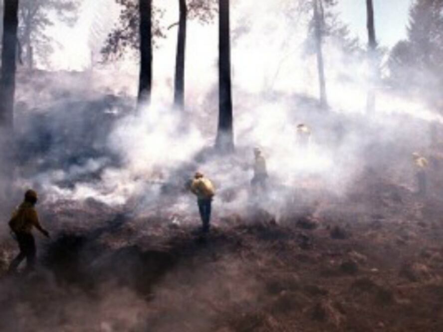 Querétaro reporta 64 incendios forestales este año