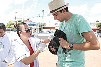 Exhortan a vacunar animales