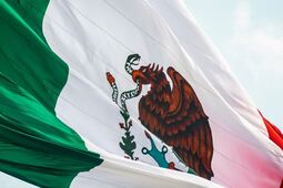Opinión. México ante la invasión