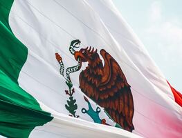 Opinión. De México para el mundo