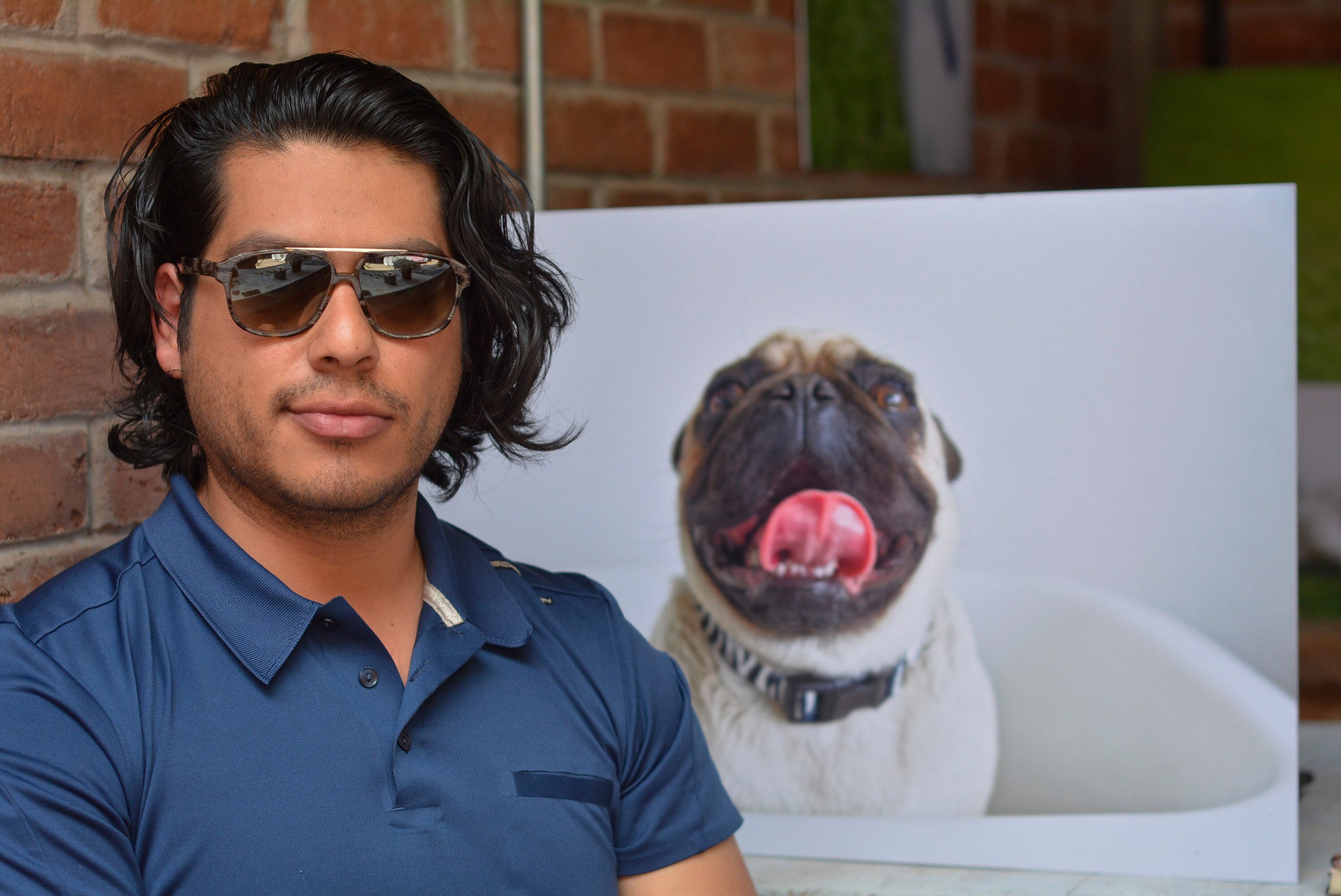 Canes consentidísimos