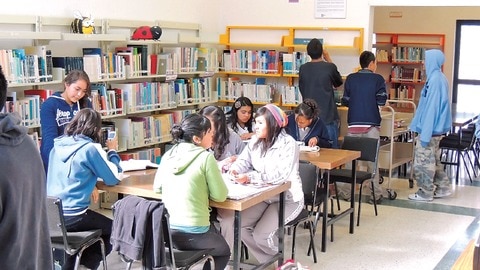 "Un paraíso, las bibliotecas públicas"