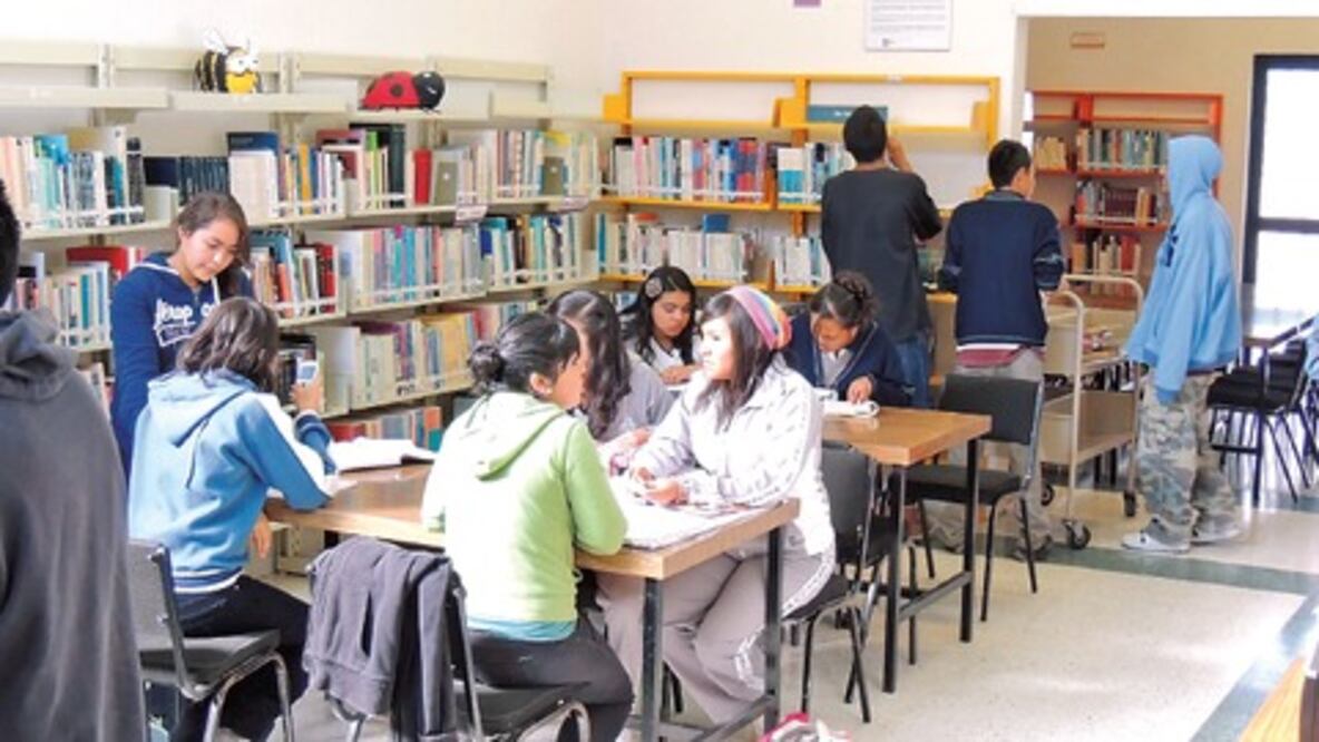 "Un paraíso, las bibliotecas públicas"