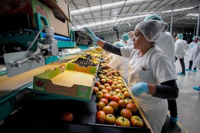 Se recuperan 80% de las empresas en Querétaro, tras crisis económica