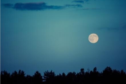 Apps para retratar la luna llena de octubre