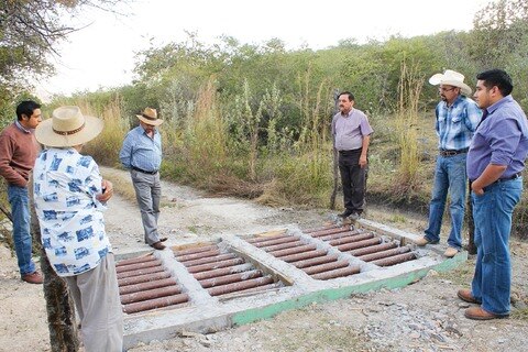 Apoyan desarrollo de ganaderos en Jalpan