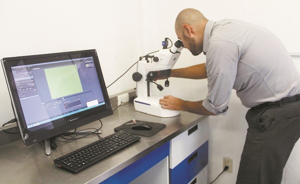 Multas electorales irán a investigación