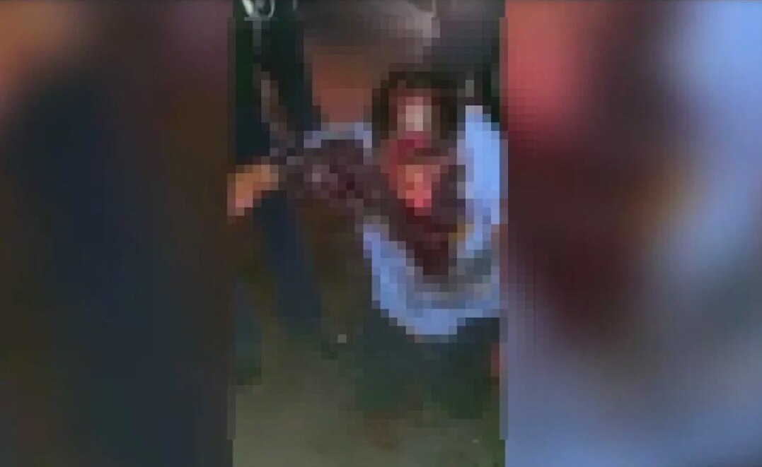 Video. Dos perros "canario corso" atacan a un hombre en Querétaro